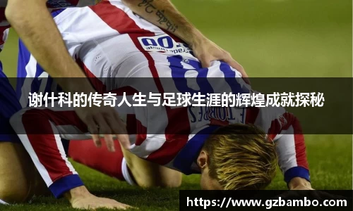 谢什科的传奇人生与足球生涯的辉煌成就探秘